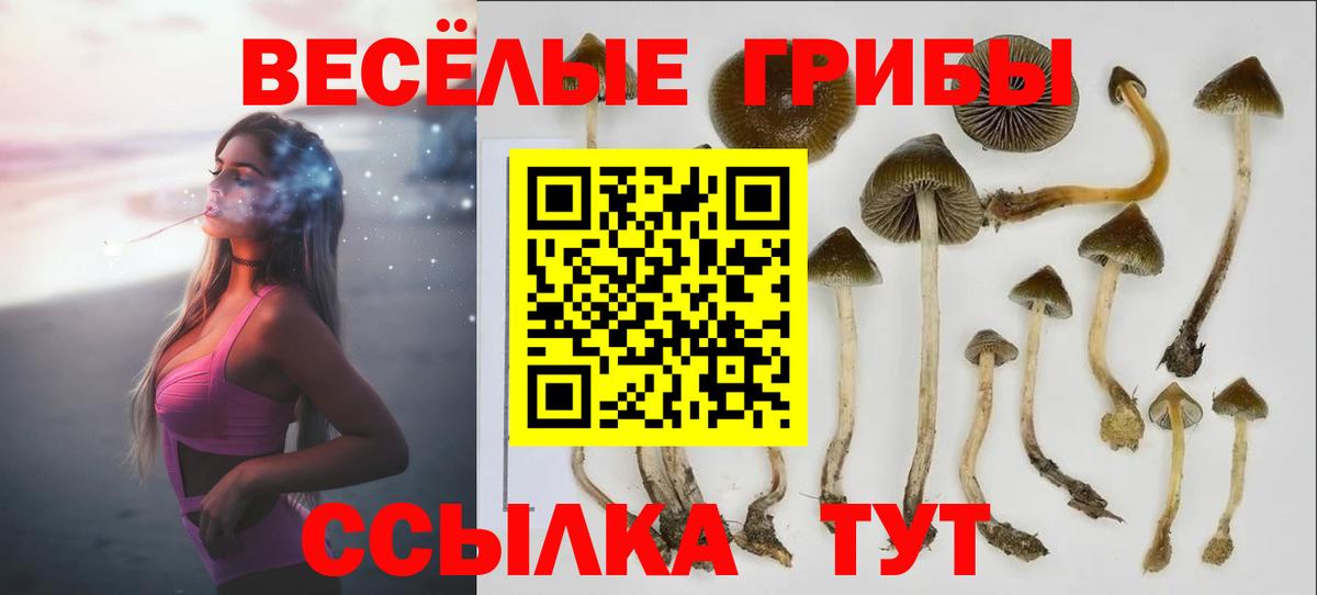 Псилоцибиновые грибы мицелий  Галлюциногенные грибы Psilocybe  Майский  Вход с VPN 